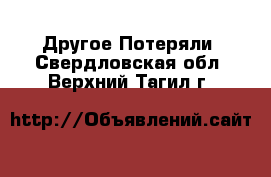 Другое Потеряли. Свердловская обл.,Верхний Тагил г.